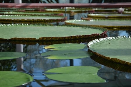 17 - Adelaide - Civilisation, nous revoilà !