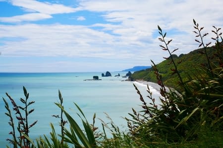 De la West coast au Nelson Lakes