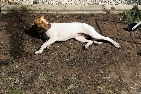 Mes 1 ères vacances