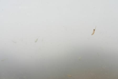 Salar Corto et départ