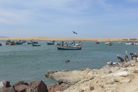 Capitole 4 - Paracatacama