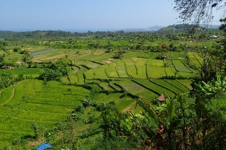 Les paysages de Bali