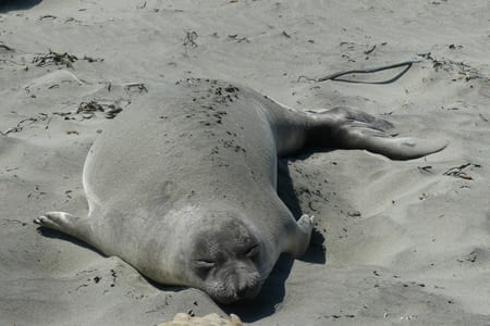 Jour 2 - En route pour San Francisco