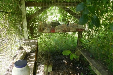 Jours 21 à 31 - Première expérience de travail