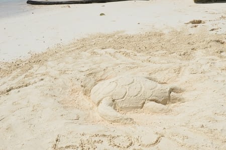 Découverte du sud de l’île de Lifou