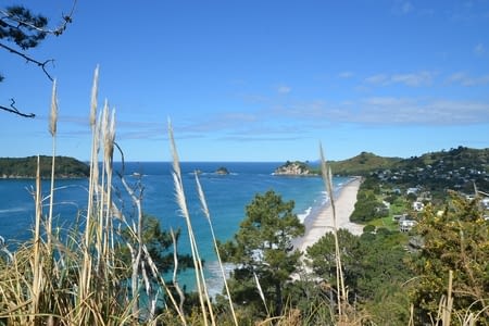 Direction la presqu’île de Coromandel