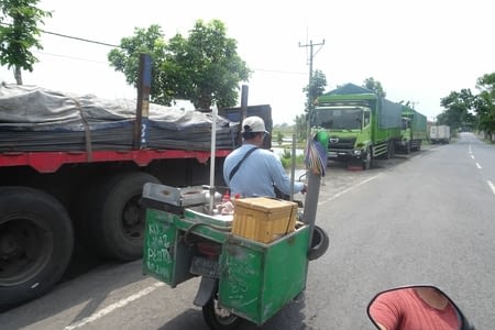 Rizières, région de Medewi