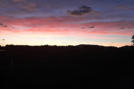 Vendanges un jour, vendanges toujours !