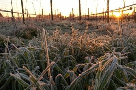 On fête le 200ème jour en voyage aujourd'hui ?