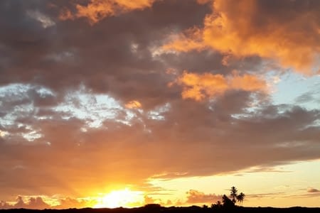 Hawaï, Big Island (8 jours)