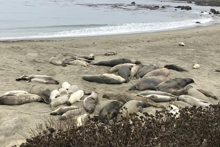 J13 - HIGHWAY 1 JUSQU’A MONTEREY