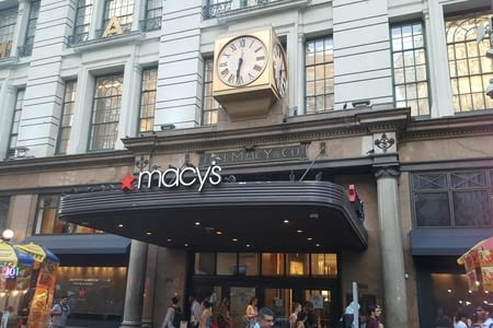 Times Square by night, New York Botanical Garden