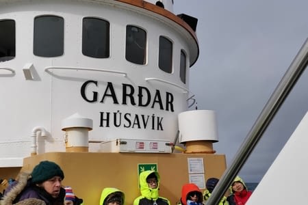 Whale watching Húsavík (bis)