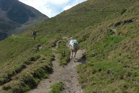 C'est la fin ! Conclusions...
