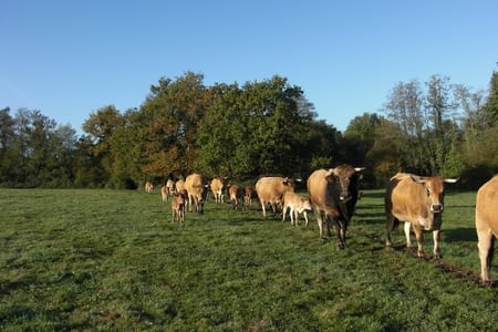Des Sables-d'olonnes à Dompierre-sur-yon - Du pain sur la planche