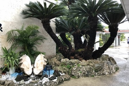 En route pour l’île tropicale