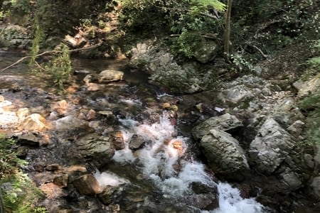 Minoh et le quartier Dotombori