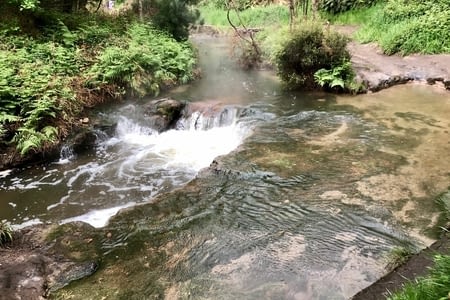 Rotorua et aux alentours