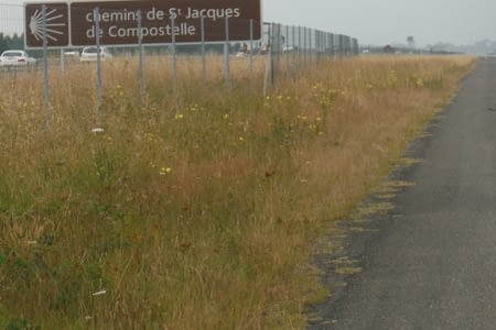 J7 – 20/7/16 – Pissos – Sorde l’Abbaye 