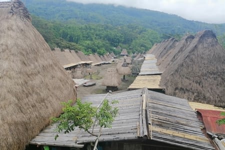 Île de Flores, Part 3: Riung>Bajawa>Ruteng