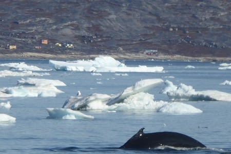 Décollage immédiat pour le Groenland