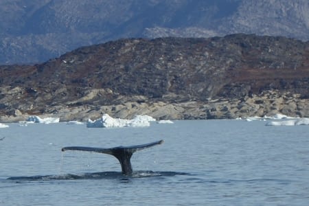 40 heures entre Ilulissat et Nuuk