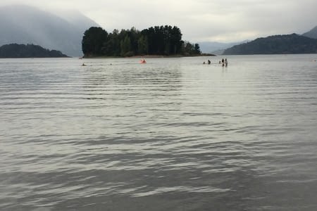 Valvidia panguipulli