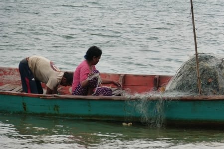 Rabbit island, derniers jours