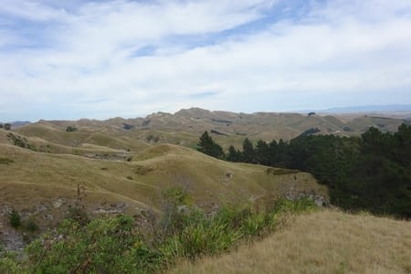 En route pour la Capitale !