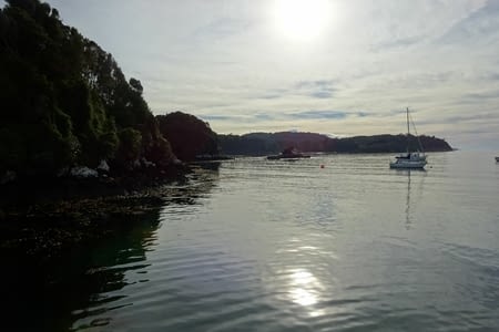 Rakiura track