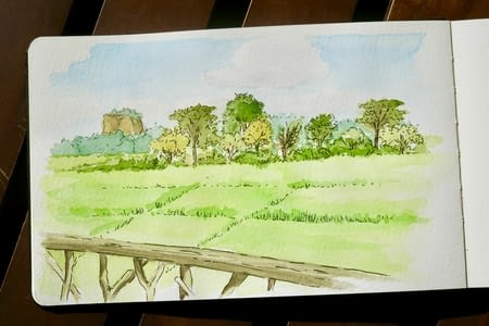 Dambulla, en route vers Colombo