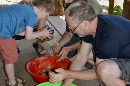 Rendez-vous avec des éléphants