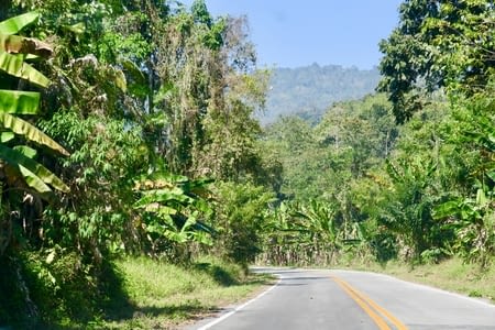 Une cascade dans la jungle