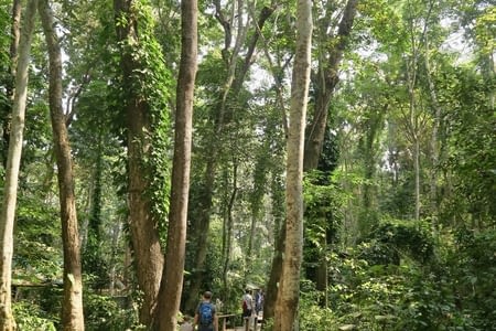 Des ours, des cascades et des novices 