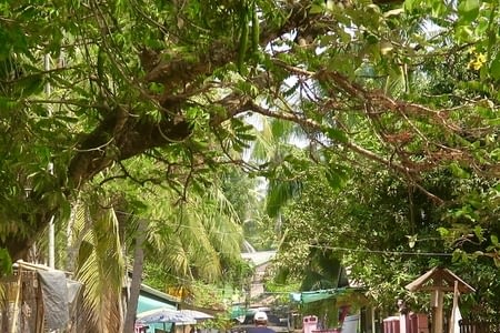 Explorations et détente à Don Khone