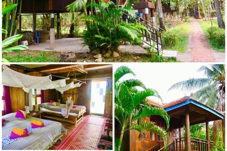 Kampot, des Manguiers et des palmiers