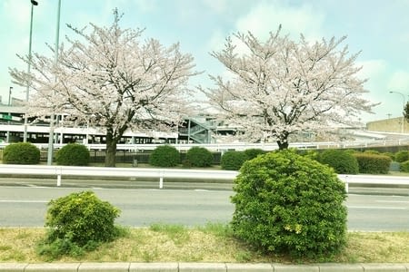 Nlle-CALÉDONIE - Nouméa, la Roche Percée