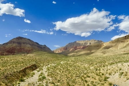 Derniers jours avec Harvey