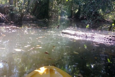 Kayak autour De Rio Dulce