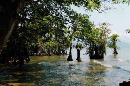 Reserve Bocas del Polochic