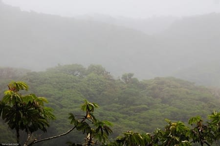 Monteverde et Rain Forest