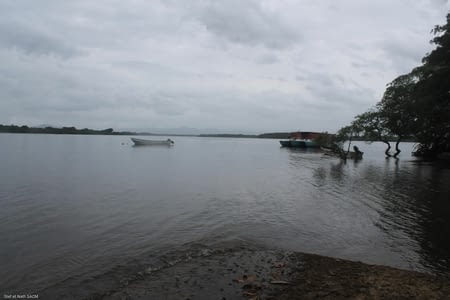 Isla cañas randonnee kayak  dans la mangrove