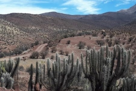 Ovalle _ La Vallée Del Hurtado_ Pichasca