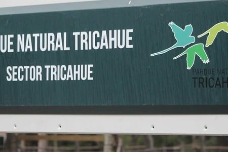 Parque national Tricahue.