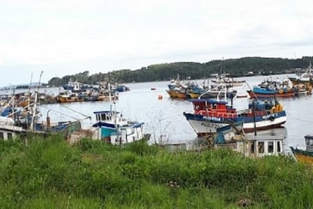 Direction le Sud de Chiloe, Quellon