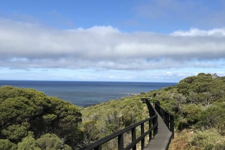Du Cape vers Yallingup