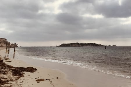 De MR vers Hamelin Bay