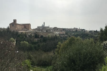 Sienne/San Gimignamo/Florence