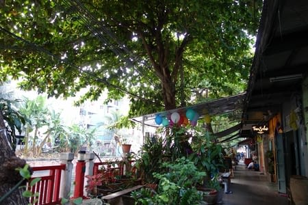 Bangkok, la trépidante