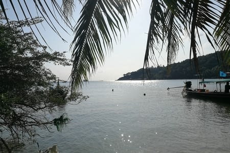 Plongée dans le golfe de Thaïlande à Koh Tao